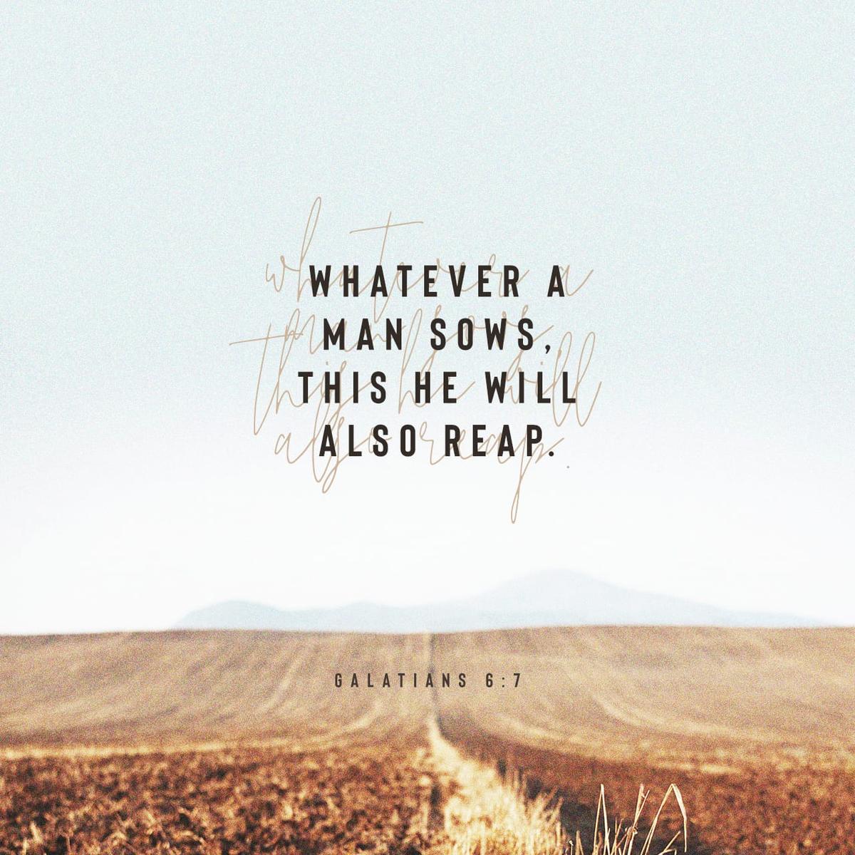 My Let ME Season π - Image 2